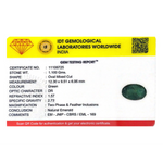 Zambian Emerald - 5.5 Carat