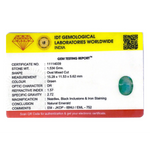 Zambian Emerald - 7.67 Carat