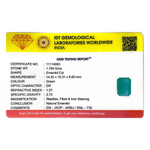 Zambian Emerald - 8.92 Carat