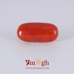 Japanese Red Coral - 6.25 Carat
