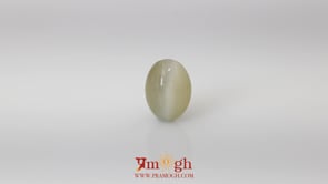 Catseye - 4.8 Carat