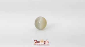 Catseye - 4.8 Carat
