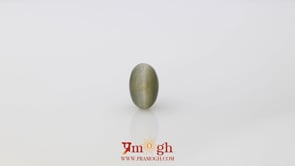 Catseye - 5.75 Carat