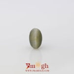Catseye - 5.75 Carat