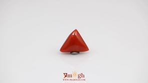 Red Coral - 3.8 Carat
