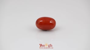 Red Coral - 6.95 Carat