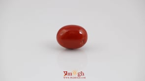 Red Coral - 6.6 Carat