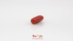 Red Coral - 4.05 Carat