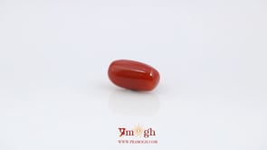 Red Coral - 4.2 Carat