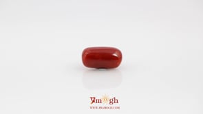 Red Coral - 4.2 Carat
