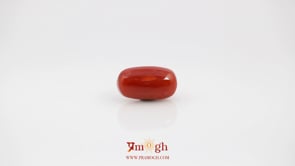 Red Coral - 5.55 Carat