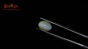 Catseye - 4.73 Carat