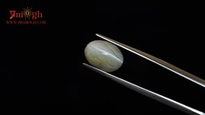 Catseye - 8.24 Carat