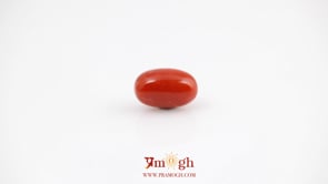 Red Coral - 4.41 Carat