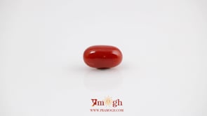 Red Coral - 4.2 Carat