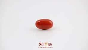 Red Coral - 4.03 Carat