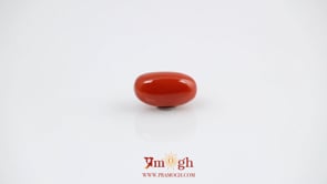 Red Coral - 4.2 Carat