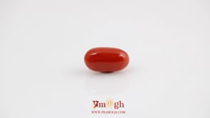 Red Coral - 4.2 Carat