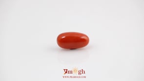 Red Coral - 5.14 Carat