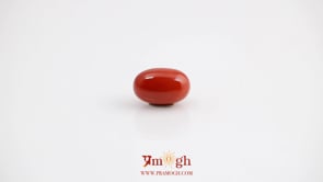 Red Coral - 3.95 Carat