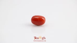 Red Coral - 4.2 Carat