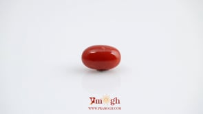 Red Coral - 4.6 Carat