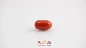 Red Coral - 4.83 Carat