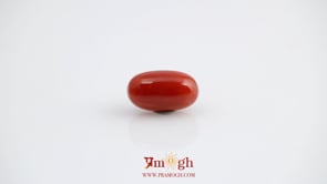 Red Coral - 5.1 Carat