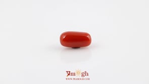 Red Coral - 4.88 Carat