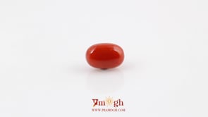 Red Coral - 4.25 Carat