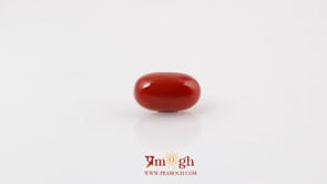 Red Coral - 4.2 Carat