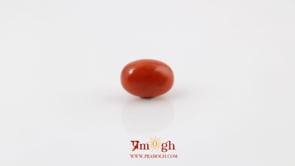 Red Coral - 4.26 Carat