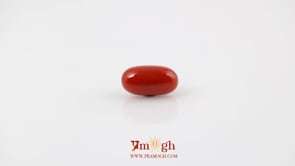 Red Coral - 4.8 Carat