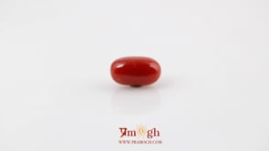 Red Coral - 5.23 Carat