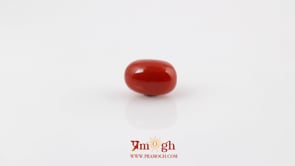 Red Coral - 4.61 Carat