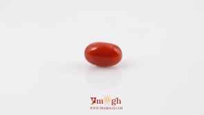 Red Coral - 4.37 Carat