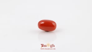 Red Coral - 4.07 Carat