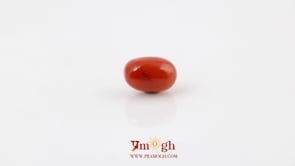 Red Coral - 4.66 Carat