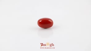 Red Coral - 4.8 Carat