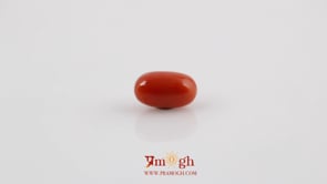 Red Coral - 4.2 Carat