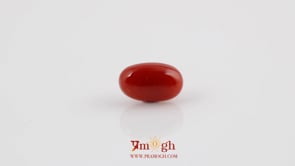 Red Coral - 4.44 Carat
