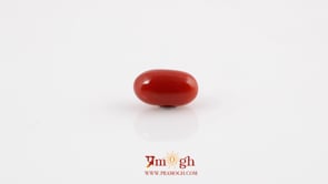Red Coral - 4.42 Carat