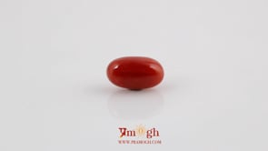 Red Coral - 5.02 Carat