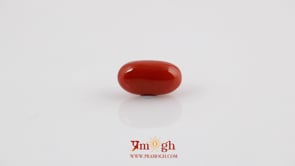Red Coral - 4.98 Carat