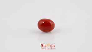 Red Coral - 4.2 Carat