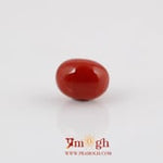 Red Coral - 4.2 Carat
