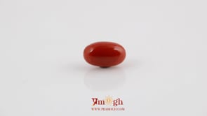 Red Coral - 4.91 Carat