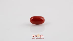 Red Coral - 4.41 Carat