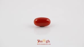 Red Coral - 4.53 Carat