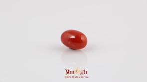 Red Coral - 4.32 Carat
